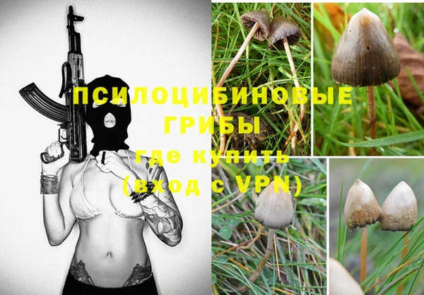 гидропоника Бутурлиновка